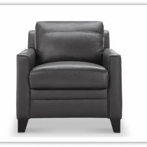 Leather Italia Fletcher Charcoal  Gray Leather Sofa Chair